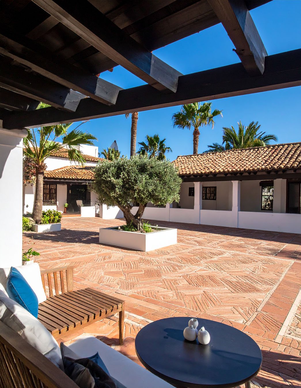 Cour marocaine avec sol en terre cuite, olivier central et coin salon