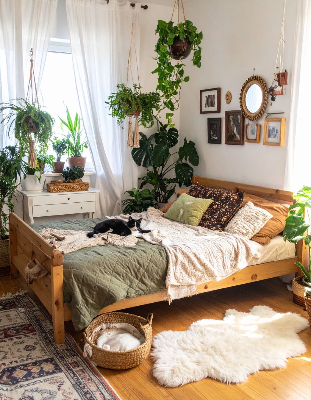 Chambre lumineuse de style campagne avec lit en bois, nombreuses plantes et un chat sur le lit
