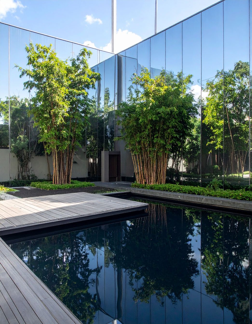 Terrasse moderne avec grand bassin réfléchissant et murs végétalisés