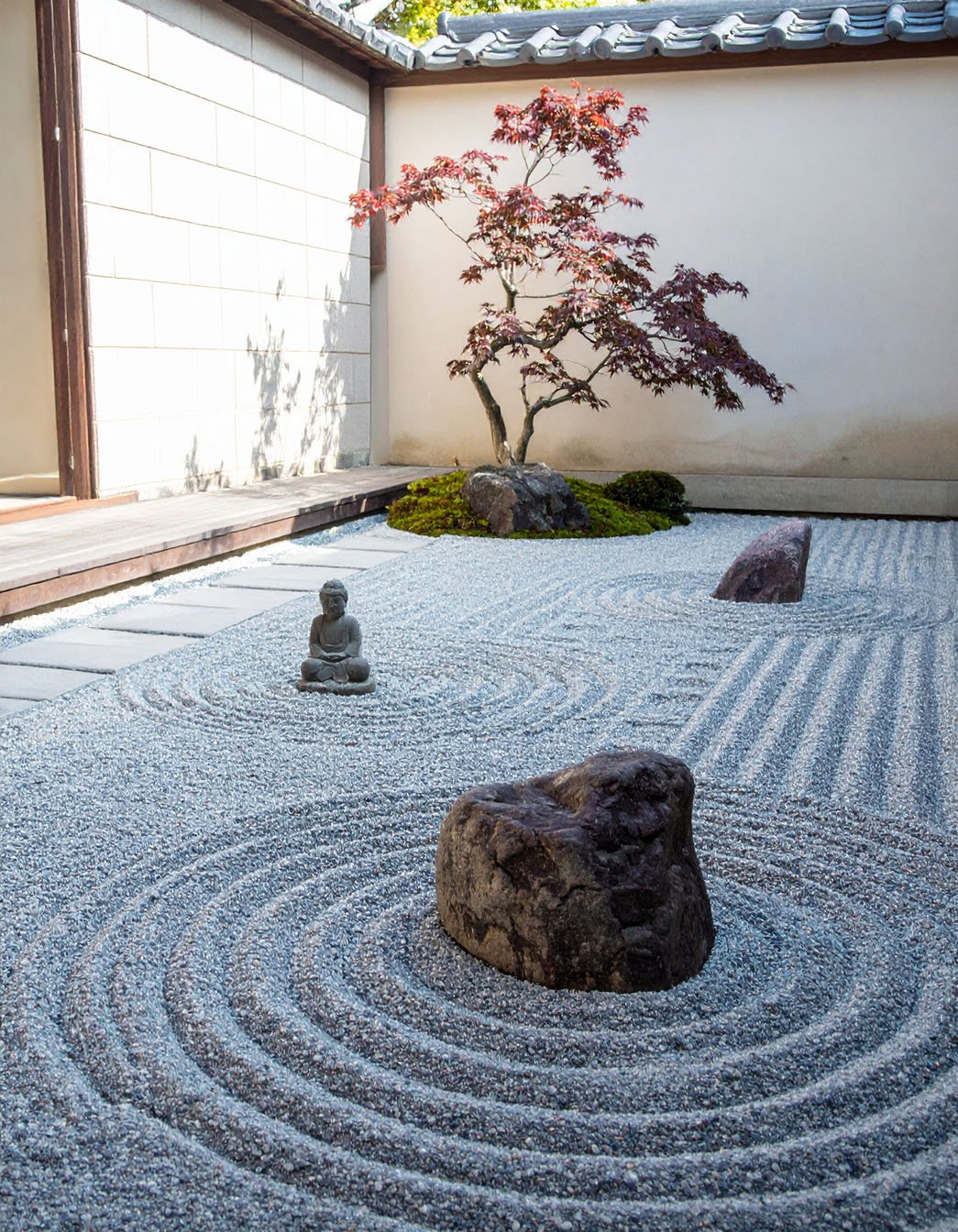 Jardin zen avec sable ratissé, rochers moussus et érable japonais
