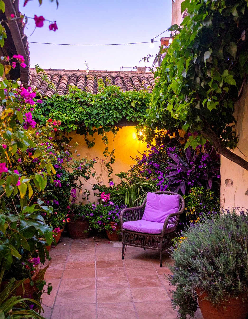 Cour intérieure luxuriante avec fauteuil en rotin à coussin violet et nombreuses plantes en pots