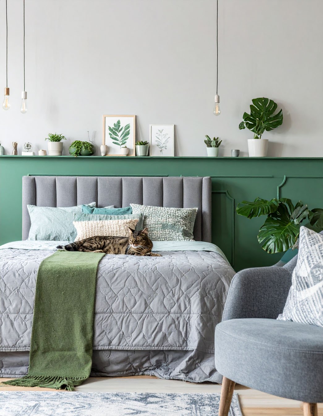 Chambre avec soubassement vert, lit gris avec plaid vert et un chat tigré sur le lit