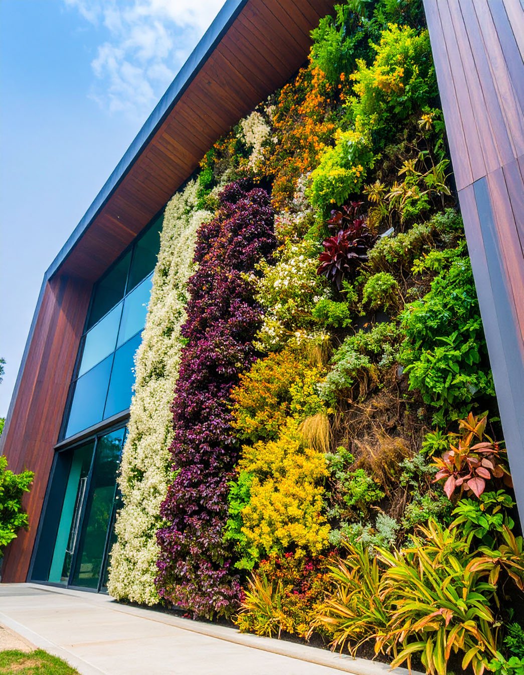 Grand mur végétal extérieur multicolore sur la façade d'un bâtiment moderne