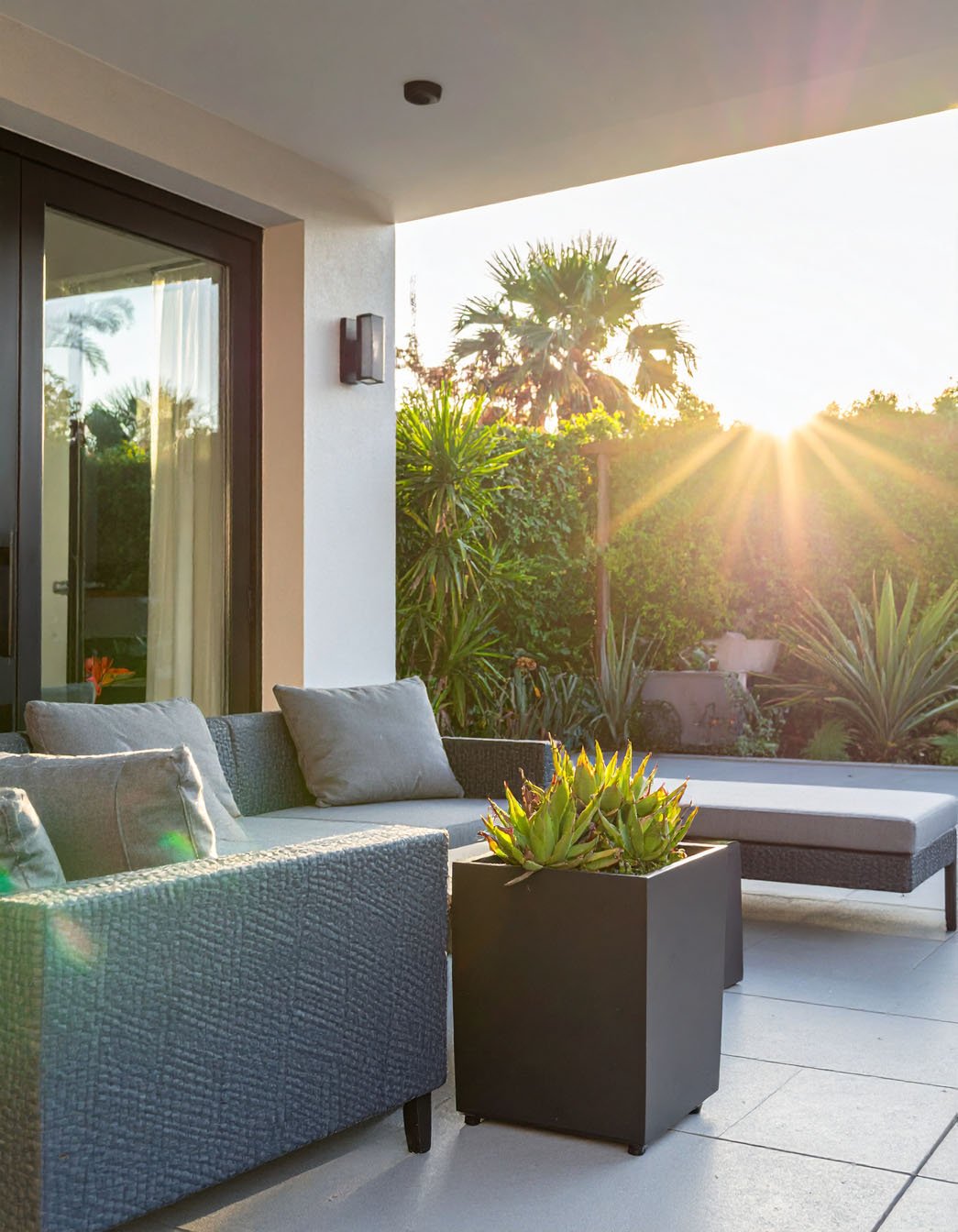 Terrasse moderne avec canapé en résine tressée grise et plante grasse en pot au coucher du soleil