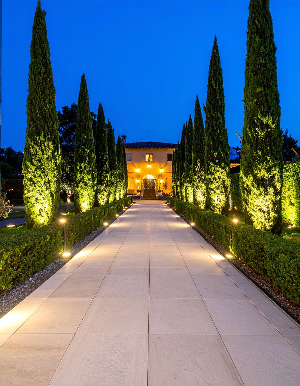Jardin avec cyprès illuminés par des projecteurs au sol la nuit