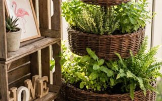 balcon paniers herbes aromatiques