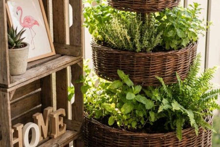 balcon paniers herbes aromatiques