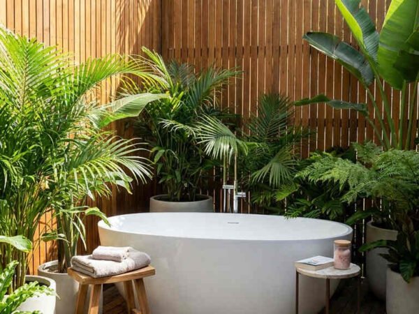baignoire exterieure jungle bois